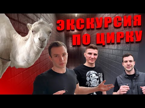 Видео: Самарский цирк, взгляд изнутри. Такого вам никто не покажет!