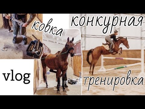 Видео: Конная рутина🐴🍂Мой день на конюшне✌🏻