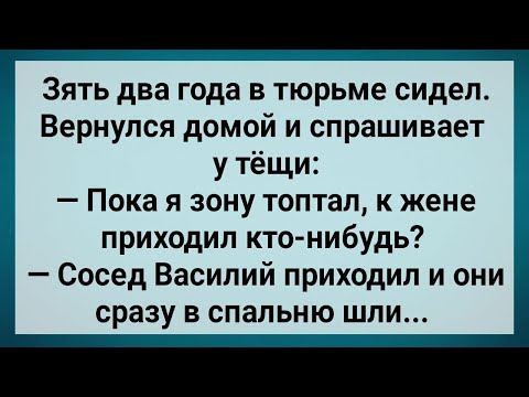 Видео: Как Зять Из тюрьмы Вышел! Сборник Свежих Анекдотов! Юмор!.