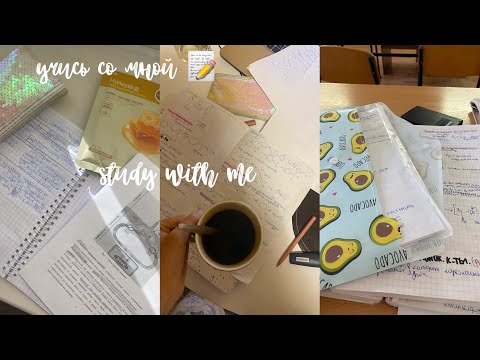 Видео: Study with me💫 распаковка с wildberries// учись со мной