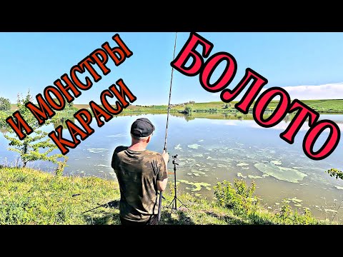 Видео: ЗАРОСШЕЕ БОЛОТО И МОНСТРЫ КАРАСИ! РИБАЛКА НА ФЛЕТ!