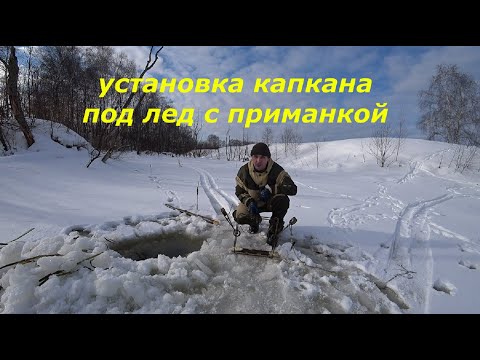 Видео: Установка проходного капкана КП 320  под лед с приманкой!  1 часть