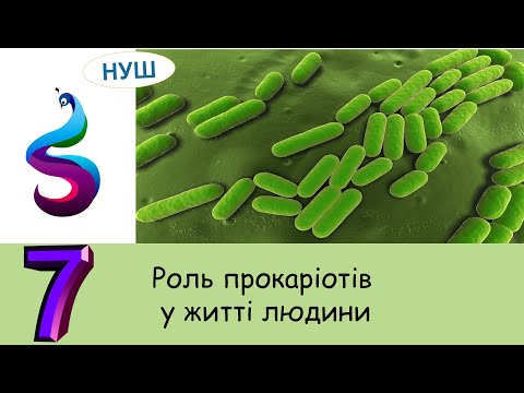 Видео: Роль прокаріотів у житті людини