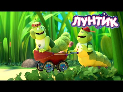 Видео: Лунтик | Старая новая коляска | 562 серия