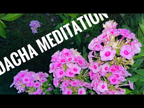 Видео: Болиголов, лакричник, мята. Слепые затесты на 8 ароматов от @erborista  + обзор Reveal от CK