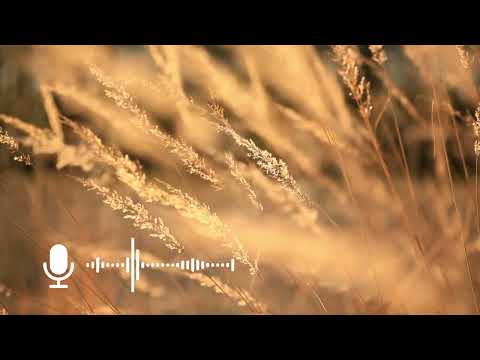 Видео: Жоголгон Ай. 🎧 (Аңгеме) 📜