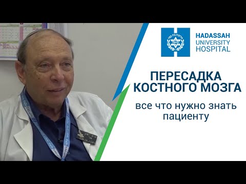 Видео: Пересадка костного мозга - все что нужно знать пациенту. Профессор Реувен Ор. Клиника "Хадасса"