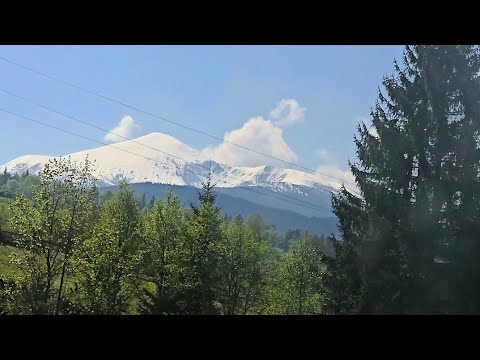 Видео: Магія Карпат ❤️ Мальовнича дорога з Квасів в Івано-Франківськ 21.05.25