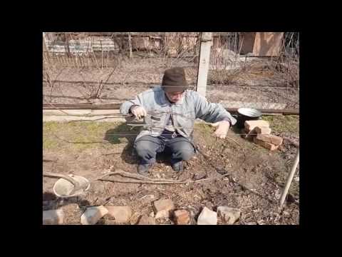 Видео: Формировка куста с изгибом рукавов петлей