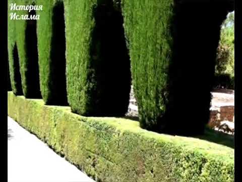 Видео: Правитель Андалусии ‘Абд-ар-Рахман аль-Гафики