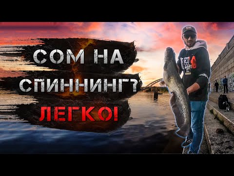 Видео: ✅ Стритфишинг ПО-КИЕВСКИ! Программа БОНУС плюс ✅