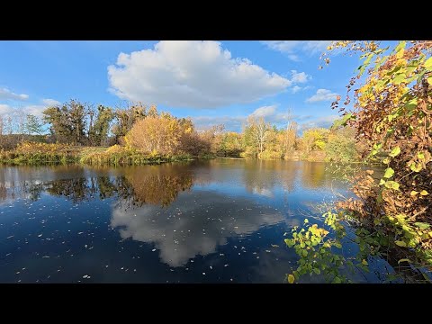 Видео: Третій шанс для щуки.