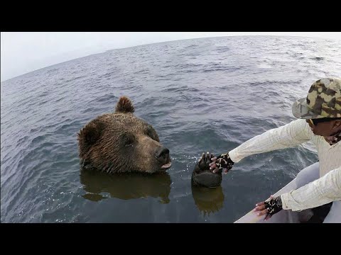 Видео: Попробуй НЕ ЗАПЛАКАТЬ! Топ 30 Трогательных Моментов с Животными