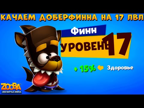 Видео: КАЧАЕМ АКУЛУ ФИНН НА 17 УРОВЕНЬ В ИГРЕ ZOOBA