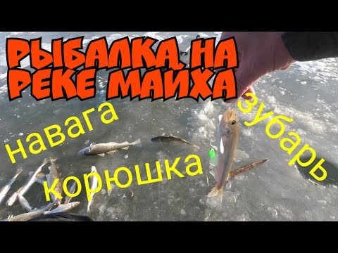 Видео: Рыбалка на реке МАЙХА навага,корюшка,зубарь