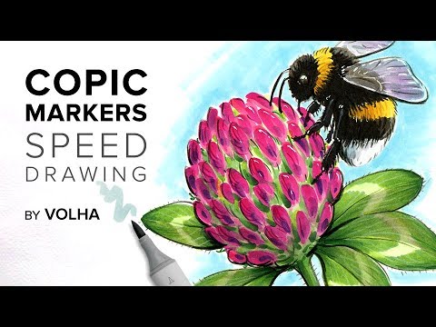 Видео: Copic markers speed drawing #29 / Рисую маркерами Copic шмеля на клевере