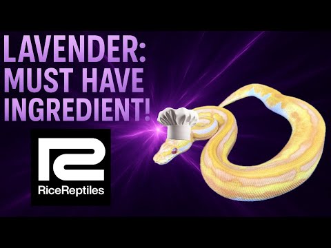 Видео: Лаванда: обязательный ингредиент