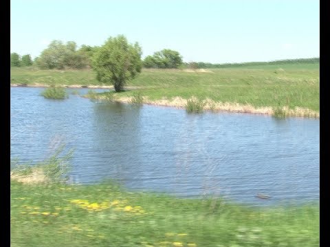 Видео: Ловить рыбу запрещено?