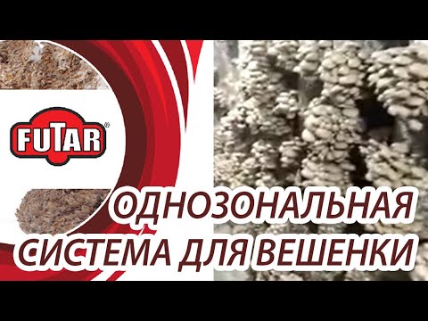 Видео: Фасовка субстрата вешенки в пакеты. Чистая зона. Условия на инкубации грибных блоков. Однозоналка.