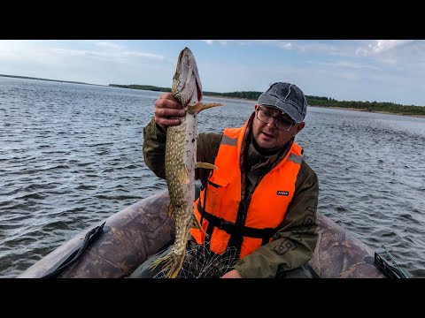 Видео: Река кишит голодной ЩУКОЙ / Осенняя рыбалка / 2 дня на северной реке