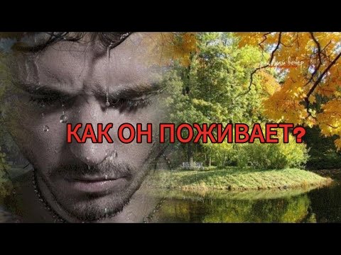 Видео: КАК ОН ПОЖИВАЕТ? ЧТО ПРОИСХОДИТ В ЕГО ЖИЗНИ? 