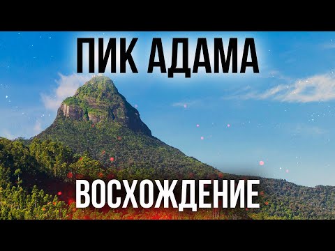 Видео: Восхождение на Большой пик Адама. Шри Ланка. Sri Lanka