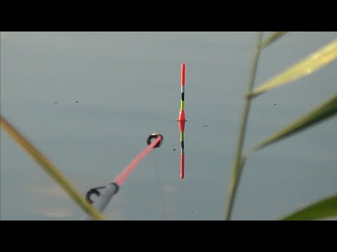 Видео: Озеро УЕЛГИ! Погода песня! 05.08.25.