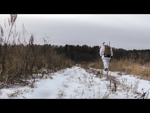 Видео: Одиночная охота на зайца | Рябчик крупным планом | Эко-туризм 2020