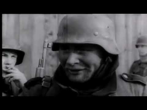 Видео: Битва за Нарву. Документальная кинохроника.
