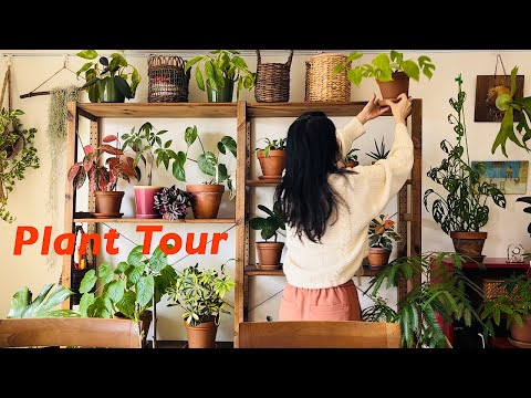 Видео: Стремление к комнате, похожей на джунгли, с интерьером из лиственных растений