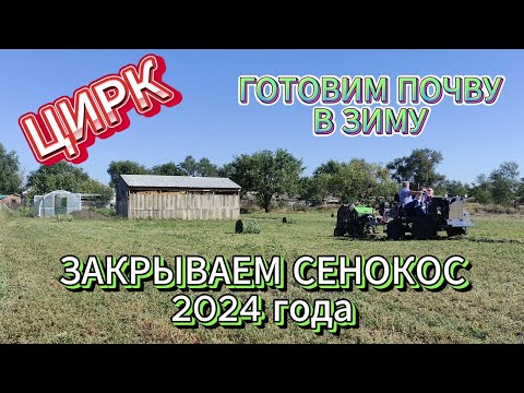 Видео: Закрываем сенокос 2024 года. Подготовка почвы в зиму. Пропойка бройлеров,какие мысли?! ЦИРК!!!
