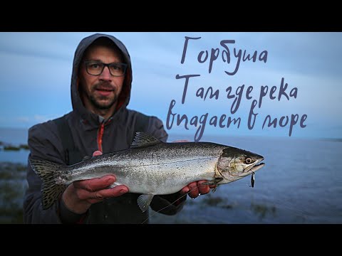 Видео: Горбуша на каждом забросе на спиннинг. Впадение реки в Белое море.