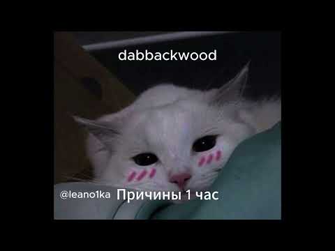 Видео: dabbackwodd - Причины 1 час