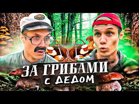 Видео: С ДЕДОМ ПО ГРИБЫ