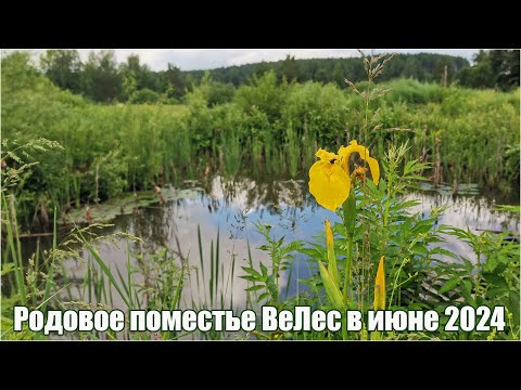 Видео: Июнь 2024 в Родовом поместье Ве Лес на Урале