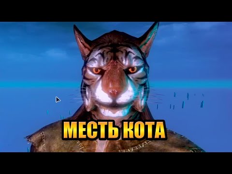 Видео: Скайрим РФАБ #1: МЕСТЬ КОТА (с HailNiklaus)