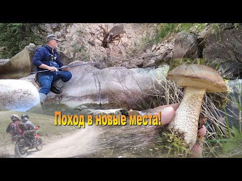 Видео: Поход в новые места + тест моей новой камеры. 23-24.05.2020