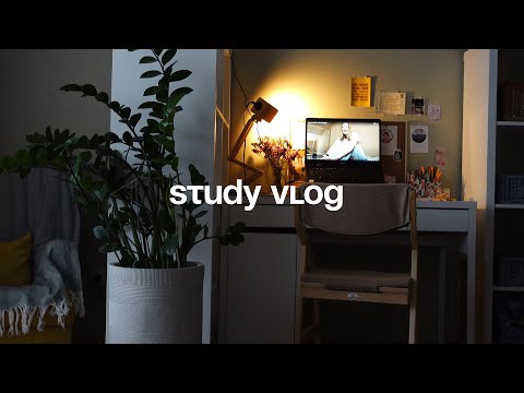 Видео: study vlog: подготовка к экзаменам и желание все бросить