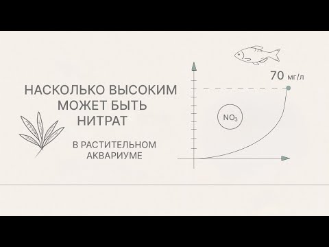 Видео: Насколько высоким может быть нитрат в аквариуме?