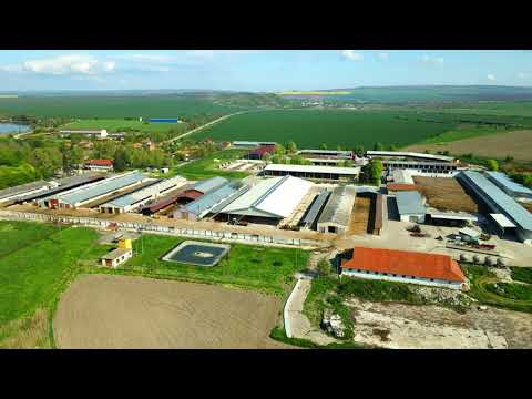 Видео: с. Бозвелийско