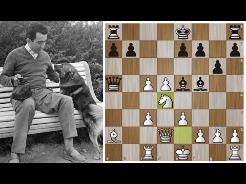 Видео: Тигран Петросян проводит СОКРУШИТЕЛЬНУЮ атаку в партии против Фишера! Шахматы.