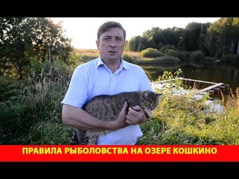 Видео: Правила рыболовства на озере Кошкино и планы на перспективу