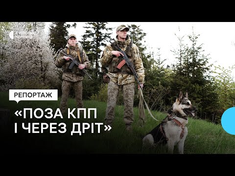 Видео: «Ловимо чоловіків майже щодня». Як патрулюють кордон на Буковині