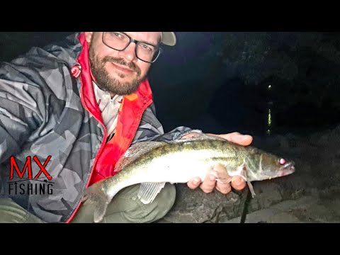Видео: За судаком в начале лета/ Спиннинг на большой реке Рейн