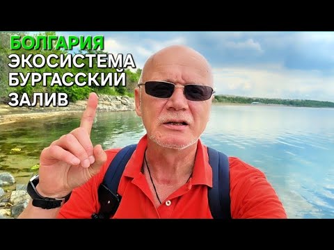 Видео: Природа Болгарии | Бургасский залив | Сарафово | Дневник пенсионера