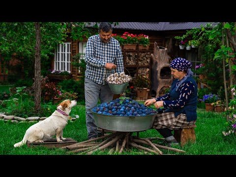 Видео: Маринованные сливы с чесноком | Уникальная и вкусная закуска