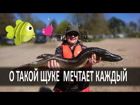 Видео: Щука Мечты :) - Рыбалка в Финляндии (Таммисаари) 05.2018