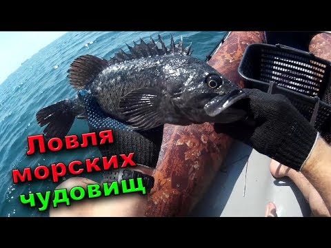 Видео: Рыбалка сетями на море | Поимка морских чудовищ | Fishing nets on the sea