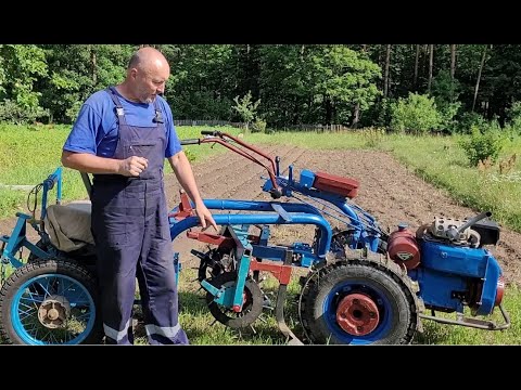 Видео: Главное о ежах.