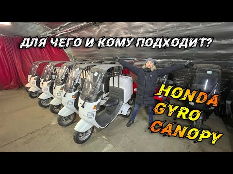 Видео: Скутер Honda Gyro Canopy 50. Для чего и кому он подходит.